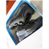 Image 2 : NEW 9W CROSS TREKKERS