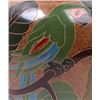 Image 3 : Temperate Rain Forest Amazonian Theme Pot