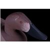 Image 14 : Canvasback Decoy Pair by Patrick Vincenti