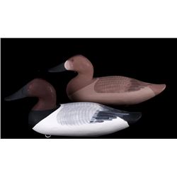 Canvasback Decoy Pair by Patrick Vincenti