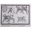 Image 7 : Wild Life on the Plains by General Custer 1885