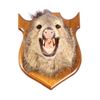Image 1 : Trophy Boar Shoulder Mount