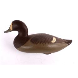 Ring Neck Hen Decoy by Patrick Vincenti