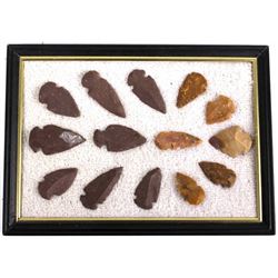 Native American Indian Arrowhead Collection