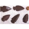 Image 6 : Native American Indian Arrowhead Collection