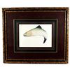 Image 2 : Jumping Salmon Limited Edition by Sony Causland