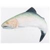 Image 4 : Jumping Salmon Limited Edition by Sony Causland