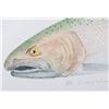 Image 5 : Jumping Salmon Limited Edition by Sony Causland