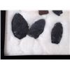 Image 2 : Native American Artifact Collection