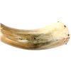 Image 15 : Four Assorted Carved Powder Primer Horns