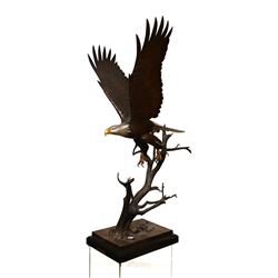 Bronze Eagle Statue Titled The Awakening by Steve Parks