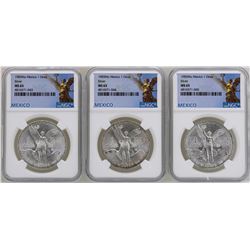 Lot of (3) 1983Mo Mexico Libertad Onza Silver Coins NGC MS65