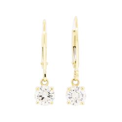 0.75 ctw Diamond Earrings - 14KT Yellow Gold