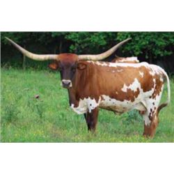 HUBBELLS RIO GORGEOUS