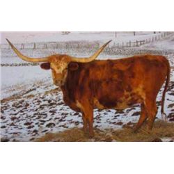 SUNHAVEN SITTIN PETITE