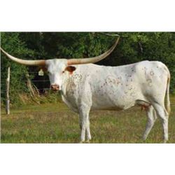 SCRATCH - CDC STAR 007