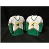 Image 1 : DALLAS STARS MINI PROTOTYPE RESIN JERSEY LOT