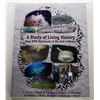 Image 1 : Church: A Study of Living History: Deep WWII Shipwrecks of the Gulf of Mexico