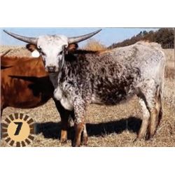 MOOANA