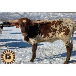 DSCC KIOWA PRINCESS