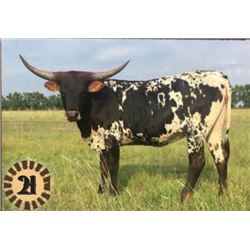 +F 20 GAUGE BELLE STARR