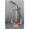 Image 1 : Compact Bow With Mounted Deer Sheds