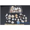 Image 1 : Collection of Shells