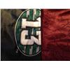 Image 2 : Saskatchewan Roughriders Pilsner Flag "End of an Era"