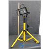 Image 1 : 500W (2x250W) Portable Work Light