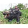 Image 2 : Serbia: European Hunting Adventures - Futog