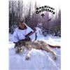 Image 4 : Canada: Kapriver Retrievers and Outfitters - Kapuskasing, Ontario