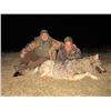 Image 2 : Macedonia: European Hunting Adventures - Novi Sad or Zajecar
