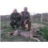 Image 5 : Macedonia: European Hunting Adventures - Novi Sad or Zajecar