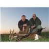 Image 5 : Serbia: European Hunting Adventures - Futog