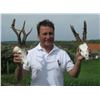 Image 6 : Serbia: European Hunting Adventures - Futog