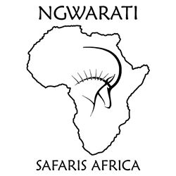 South Africa:  Ngwarati Safaris - Limpopo