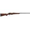 Image 1 : Winchester XPR Sporter .243WIN Wood Stock, NEW IN BOX