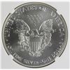 Image 2 : 2017 AMERICAN SILVER EAGLE