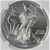 Image 1 : 2019 AMERICAN SILVER EAGLE