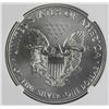 Image 2 : 2019 AMERICAN SILVER EAGLE