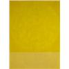 Image 1 : Oli Sihvonen  Yellow Circle-Yellow Squares  USA, 