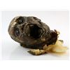 Image 1 : The Mummy (1999) - Mummy head from the movie starring Brendan Fraser and Rachel Weisz, 27cm chin to 