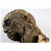 Image 3 : The Mummy (1999) - Mummy head from the movie starring Brendan Fraser and Rachel Weisz, 27cm chin to 