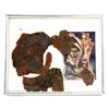 Image 1 : Doctor Who - Original Silurian sections from The Silurians (1970), framed, 22 x 27cm.