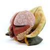 Image 1 : Doctor Who - Terror of the Vervoids (1986), Vervoid head and hands pulled from the original mould. T