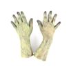Image 3 : Frankenstein - Replica bust and pair of hands crafted by the Hollywood effects department for the us