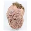 Image 2 : The Thing (1982) - A full scale life size Norris Grubhead replica prop made from a thick rubber late