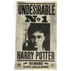 Image 1 : Harry Potter and the Deathly Hallows: Part 1 (2010) - Harry Potter Undesirable No1 Flyer