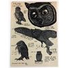 Image 1 : Harry Potter and the Order of the Phoenix (2007) - Owl Drawings from Hogwarts