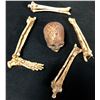 Image 1 : Terminator 2: Judgment Day (1991) - Miniature Skeletal Collection - Lot B